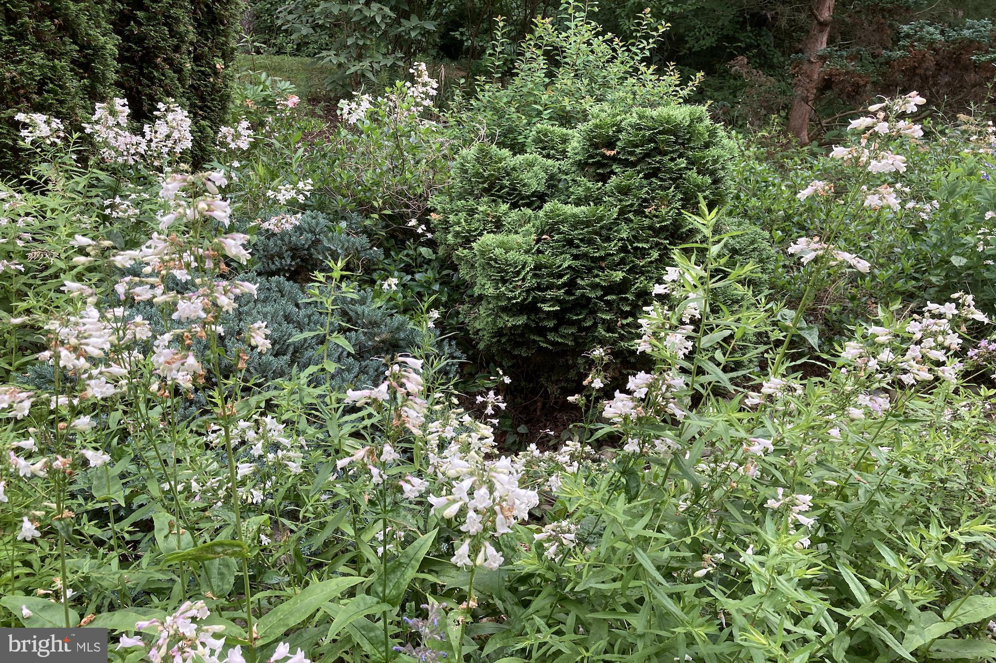 HUNTING HILLS - Residential