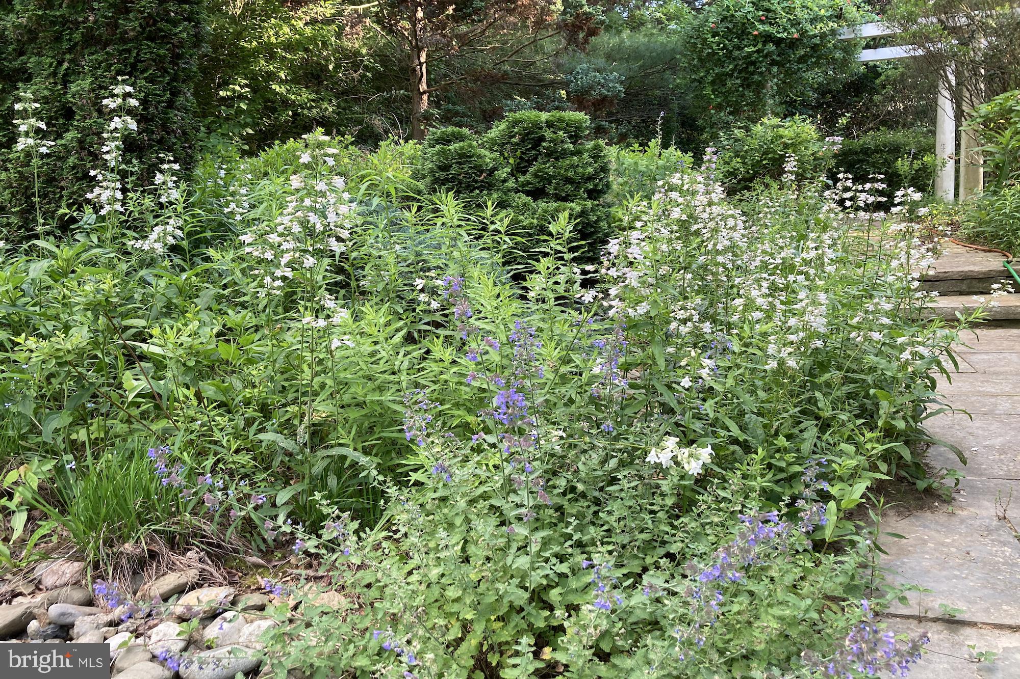 HUNTING HILLS - Residential