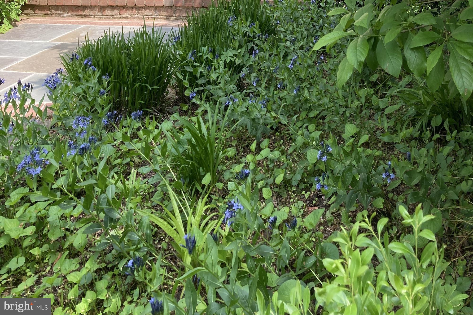 HUNTING HILLS - Residential