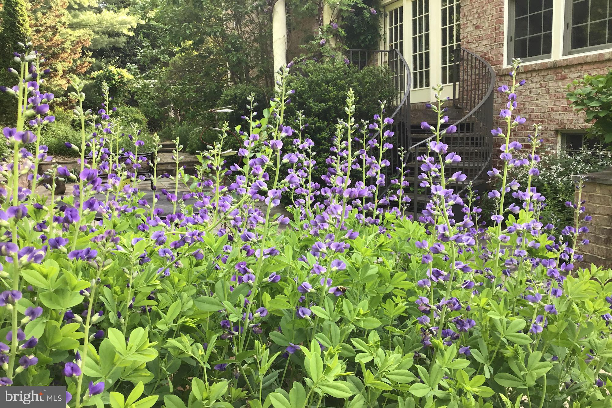 HUNTING HILLS - Residential