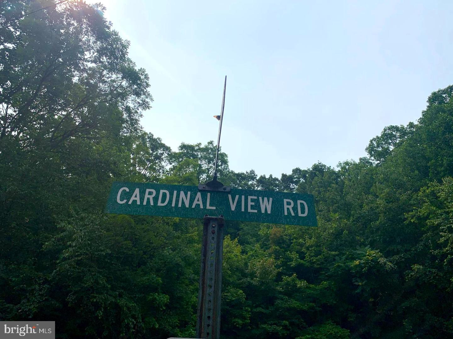 CARDINAL VIEW ROAD