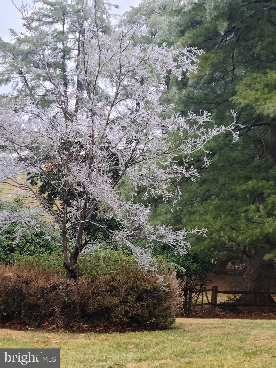 PIONEER HILLS - Residential