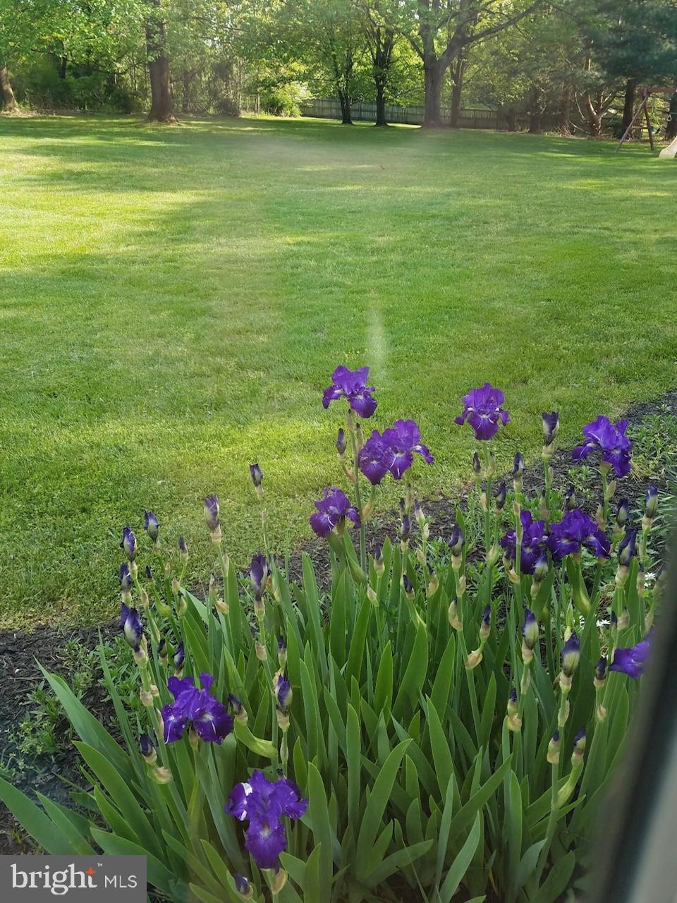 PIONEER HILLS - Residential