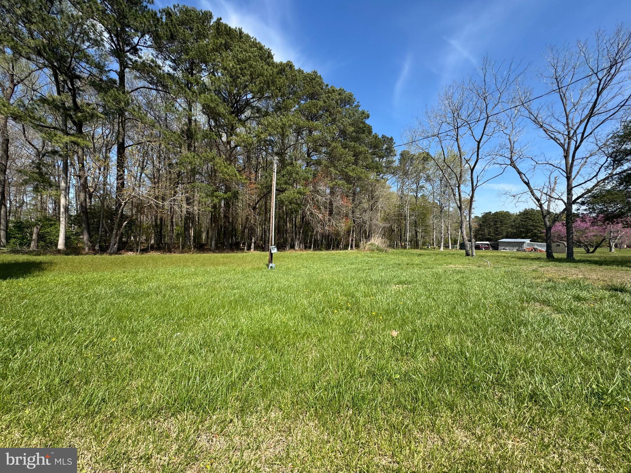 Located in the peaceful, rural setting of Worcester County, this spacious 1-acre lot offers the perfect opportunity to create your own private retreat. The property previously had a home on it and features an existing well and septic system — condition unknown. Buyers are encouraged to perform their own due diligence regarding the usability of these systems. With no HOA and plenty of room to spread out, this lot provides the potential freedom to design the lifestyle you’ve been dreaming of, all within a short drive to coastal towns and local amenities. Don’t miss this chance to own a slice of the Eastern Shore!