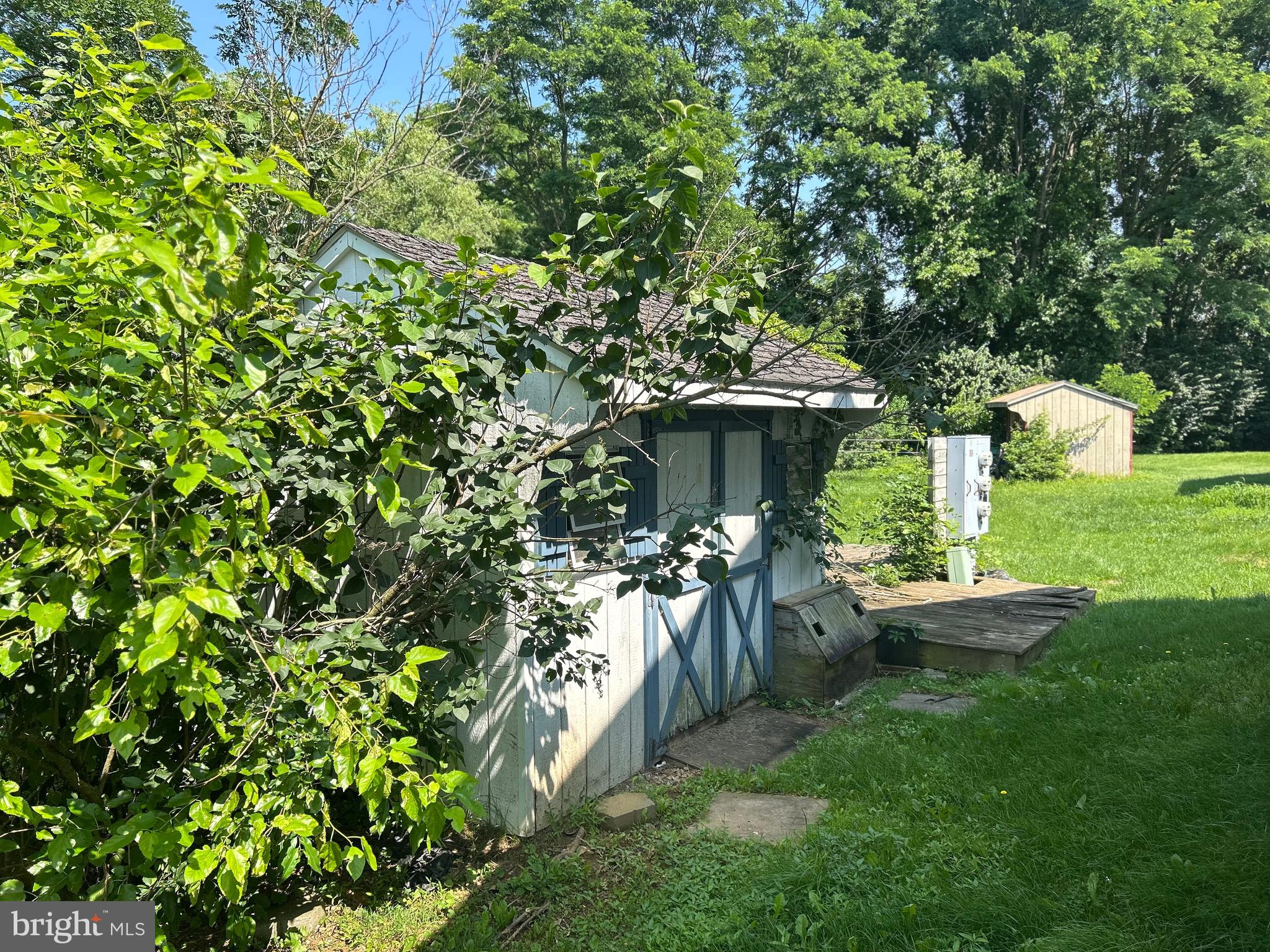 2 BUCK COURT