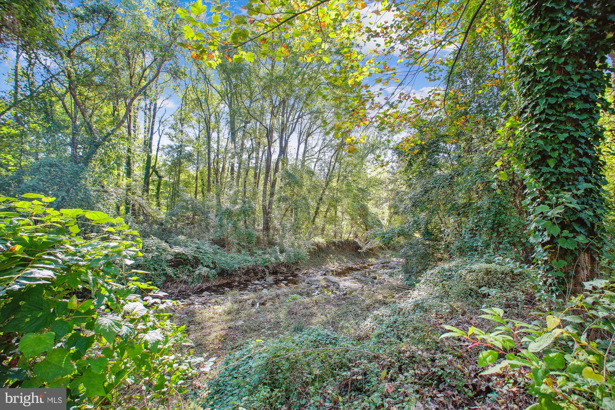 CHESTERBROOK MEWS - Residential