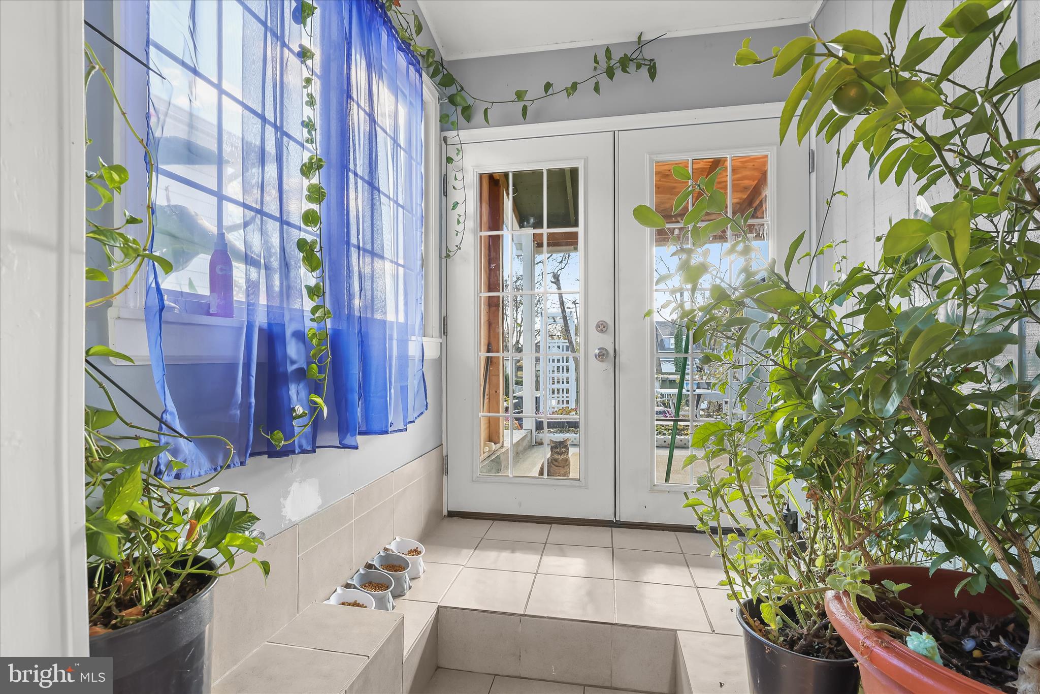 ROSEMONT - Residential