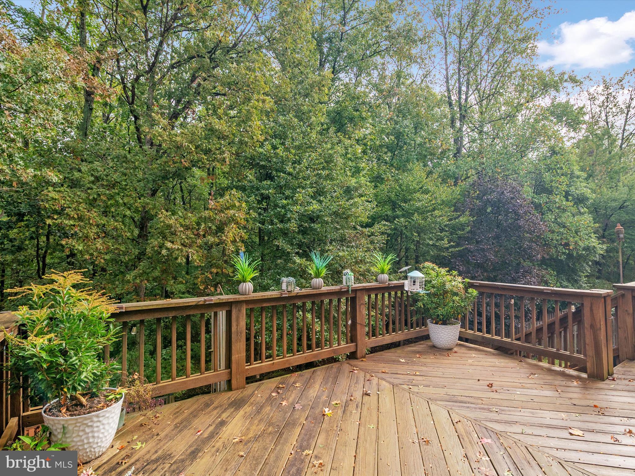 PINEY ORCHARD - Residential