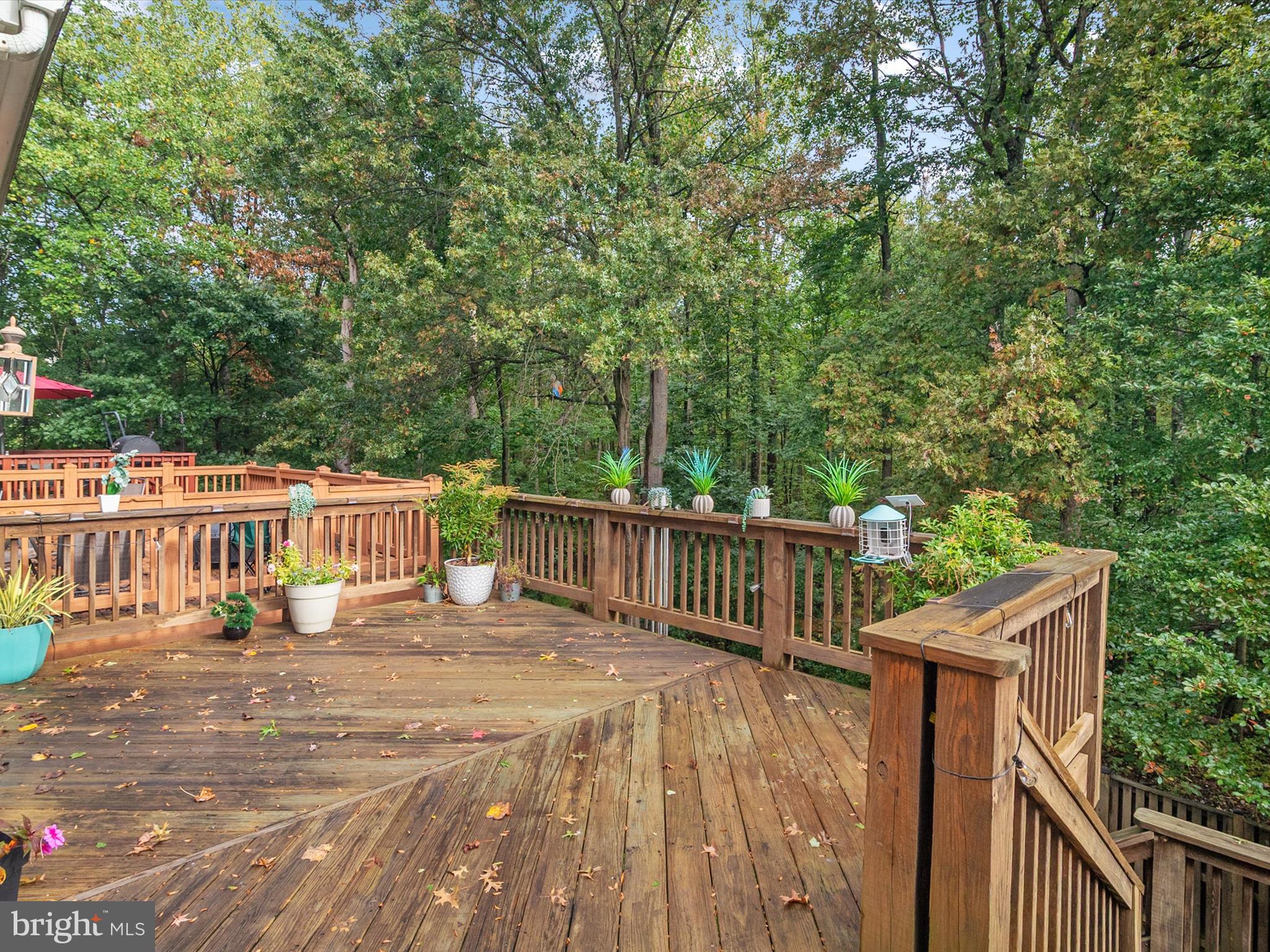 PINEY ORCHARD - Residential