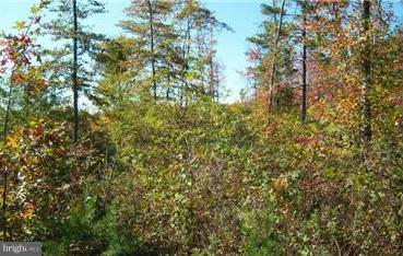 SLEEPY CREEK HIDE-A-WAY - Land