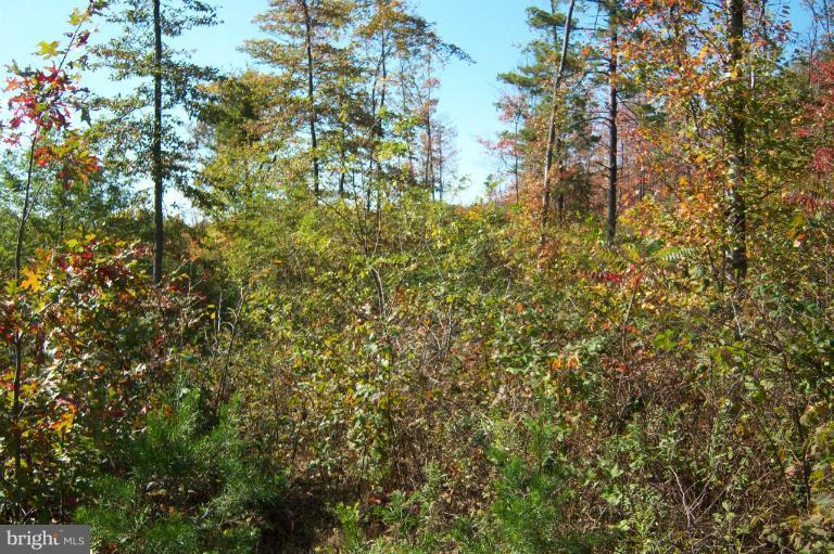 SLEEPY CREEK HIDE-A-WAY - Land