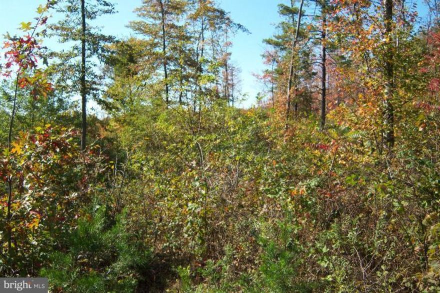 1.30+- WOODED ACRE LOT. THE LOT HAS BEEN PERCED & READY FOR YOUR NEW HOME OR WEEKEND GETAWAY SPOT. ABOUT 5 MILES OUTSIDE THE HISTORIC TOWN OF BERKELEY SPRINGS WV WITH IT's ANTIQUE SHOPS, FARMERS MARKET, HOT BATHS, SPA'S, GOLF & FINE DINING.