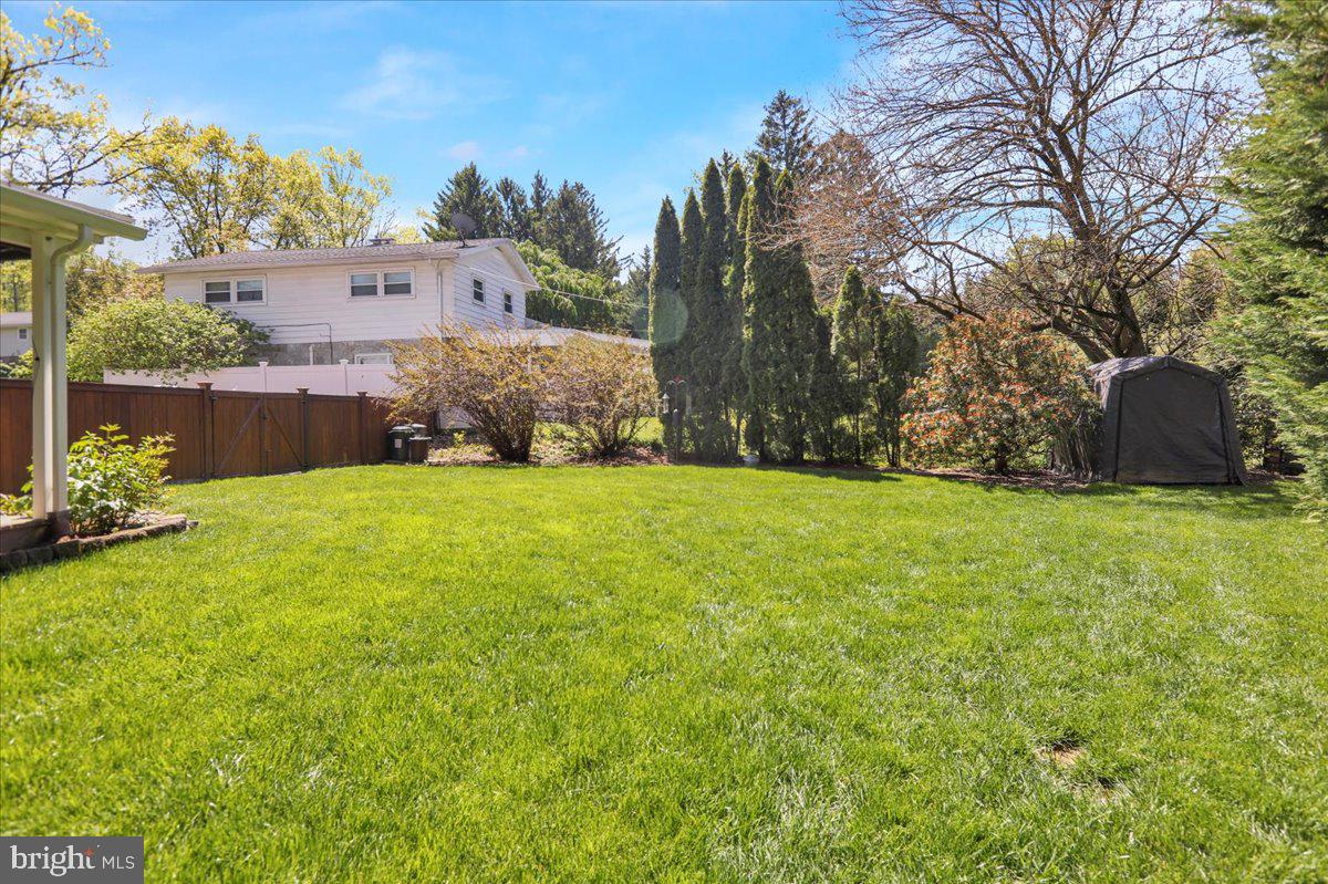 BIRDLAND - Residential