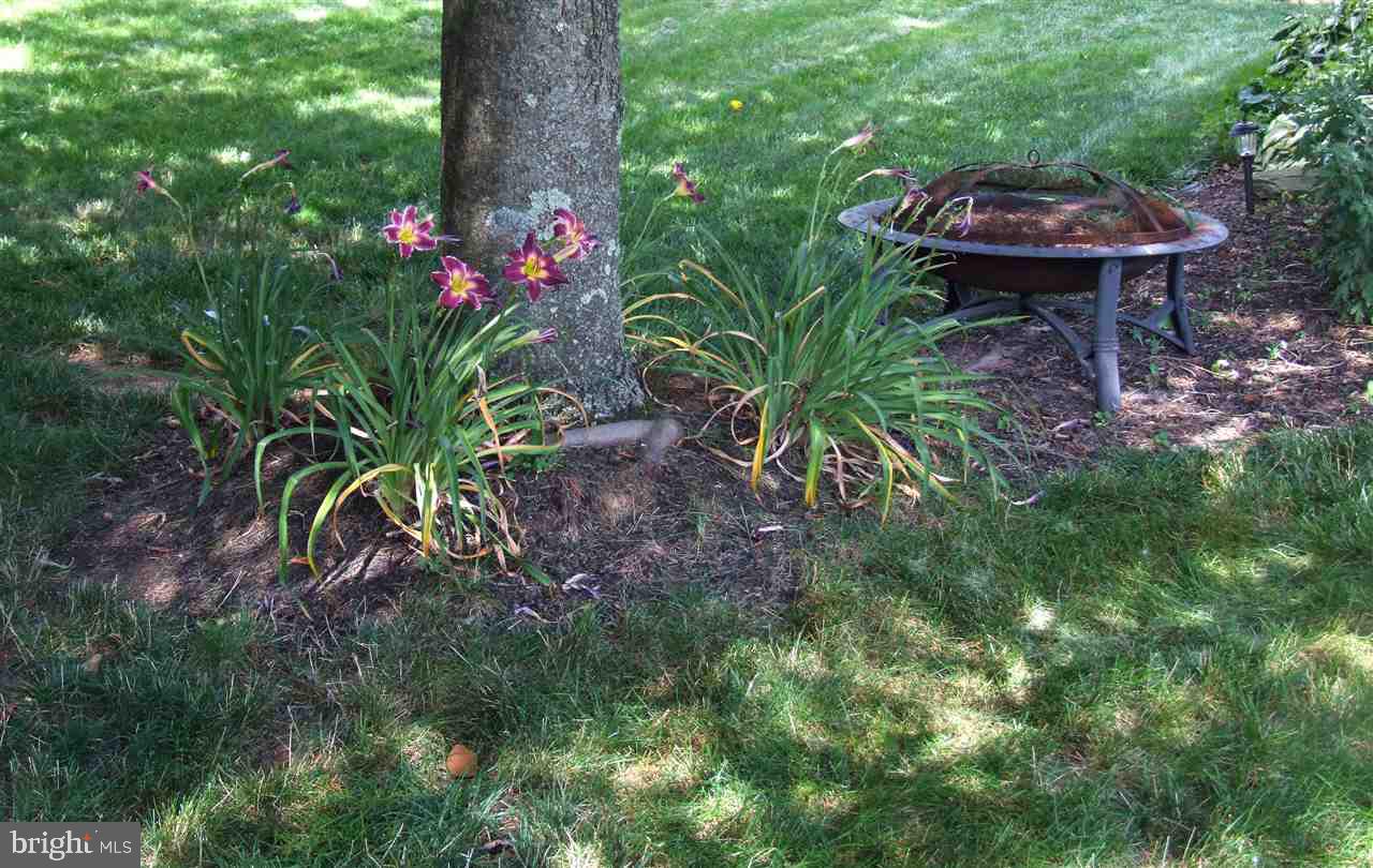 ORIOLE CIRCLE - Residential