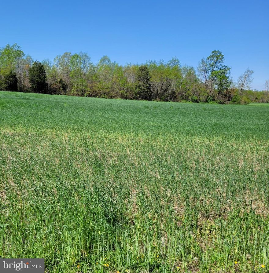 Opportunity to own a 1-acre parcel in rural setting within Northumberland County, Virginia. This lot is to be separated from an approximately 25-acre tract, with final boundaries to be established through a survey prior to closing. The land has no tree coverage, offering flexibility for a variety of potential uses.   Ideal for those seeking open land with development potential or investment opportunity.