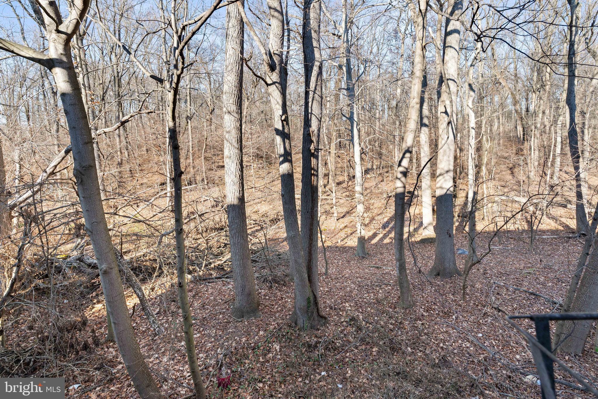 PERSIMMON CREEK - Residential