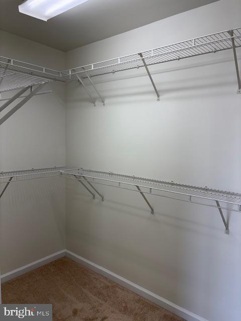 LOCUST POINT - Residential Lease