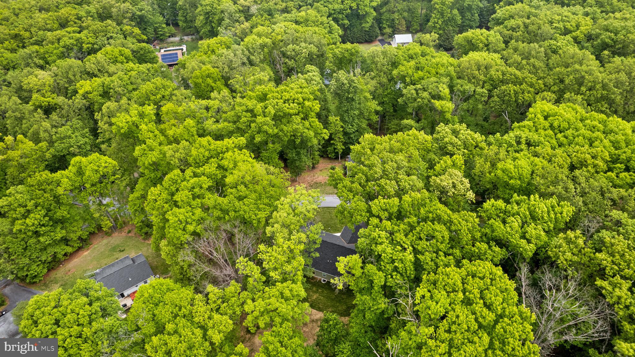 SHANNONDALE - Residential