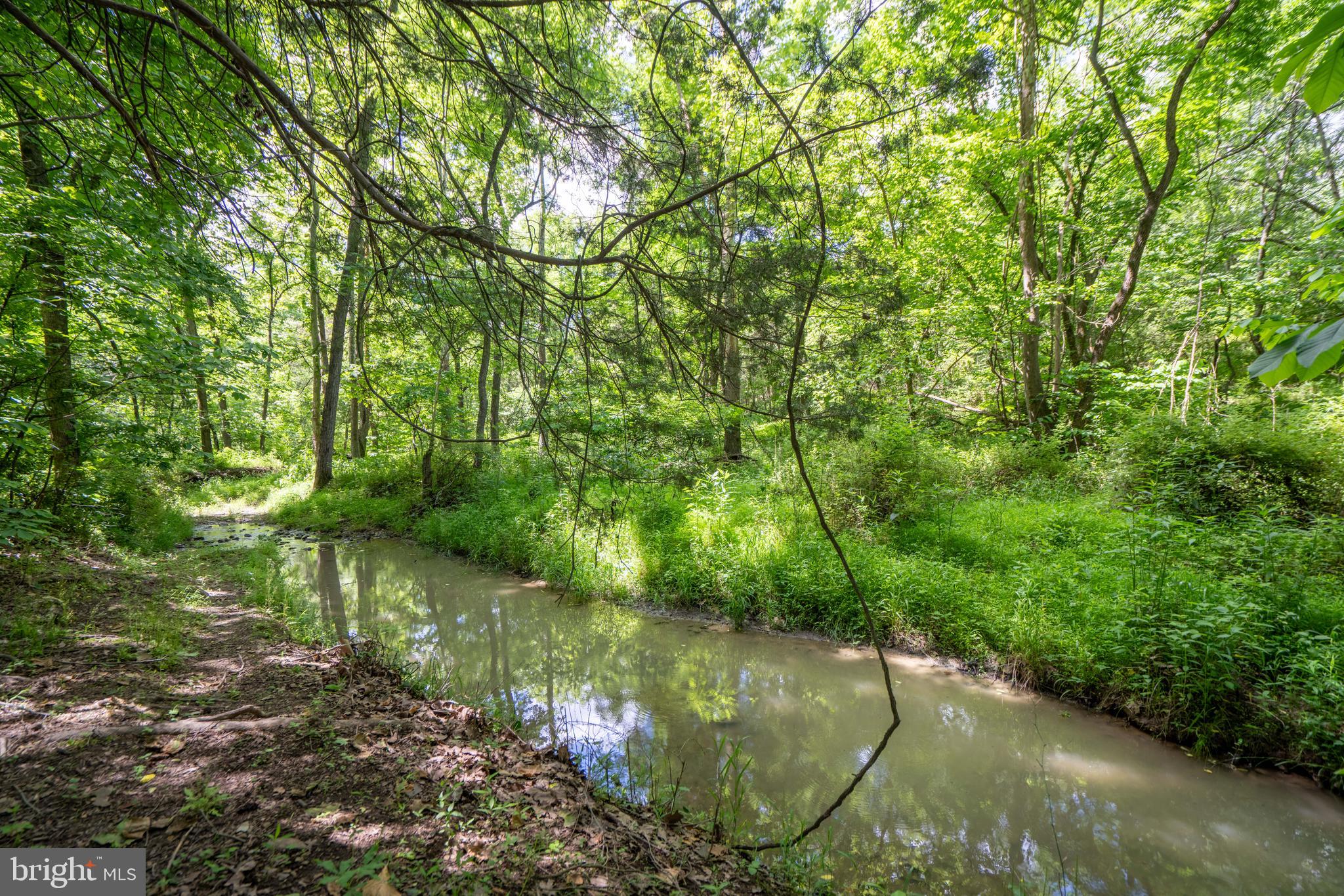 CEDAR CREST - Residential