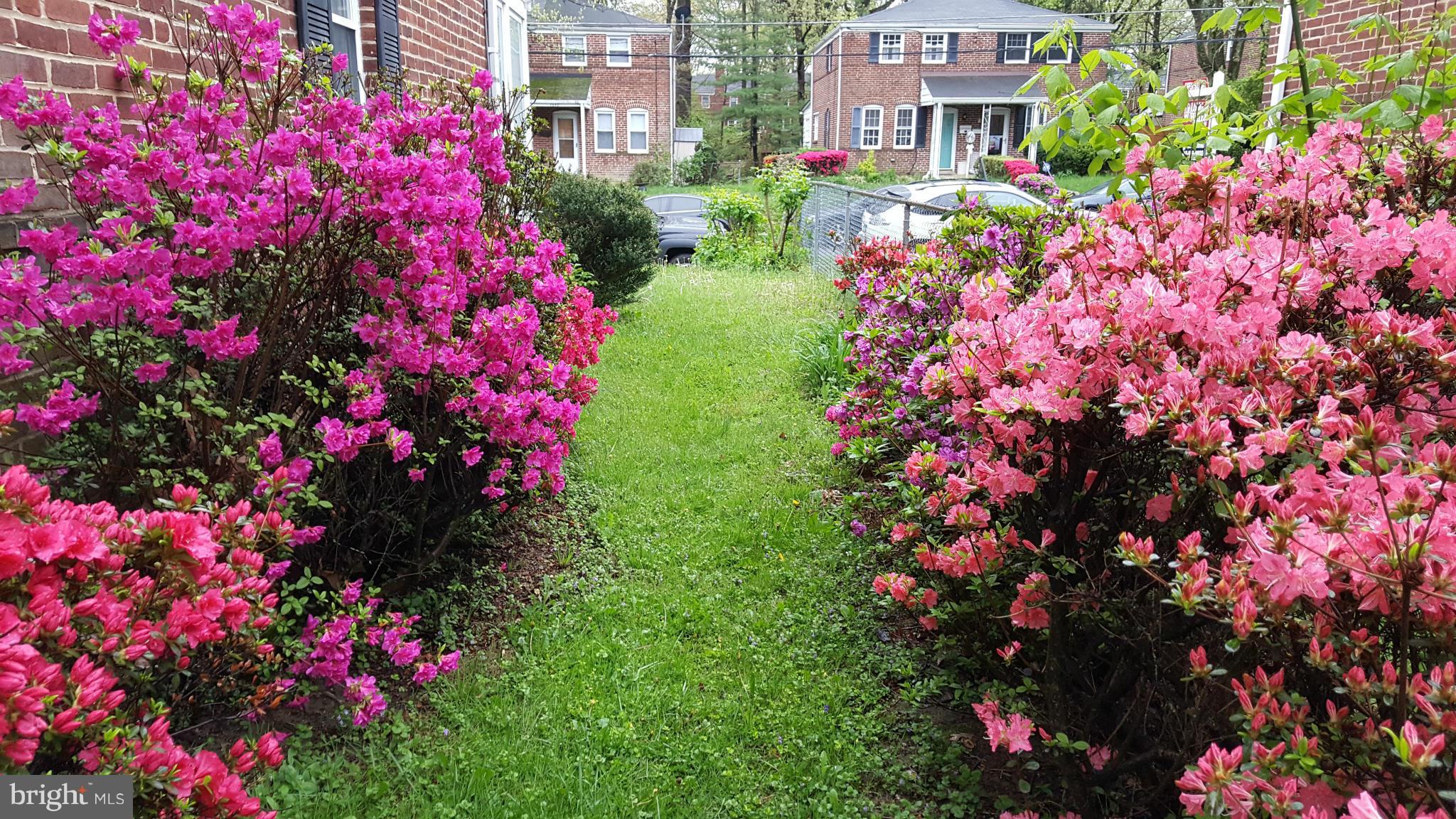 RIDGELEIGH - Residential