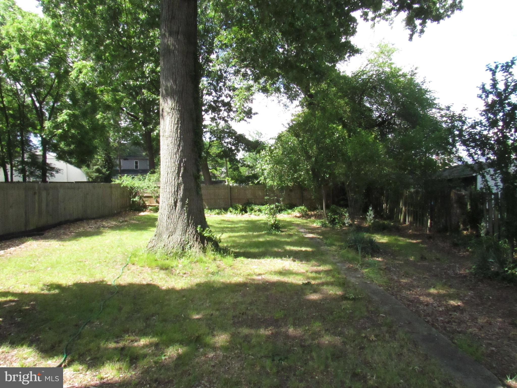 MOUNT RAINIER - Residential