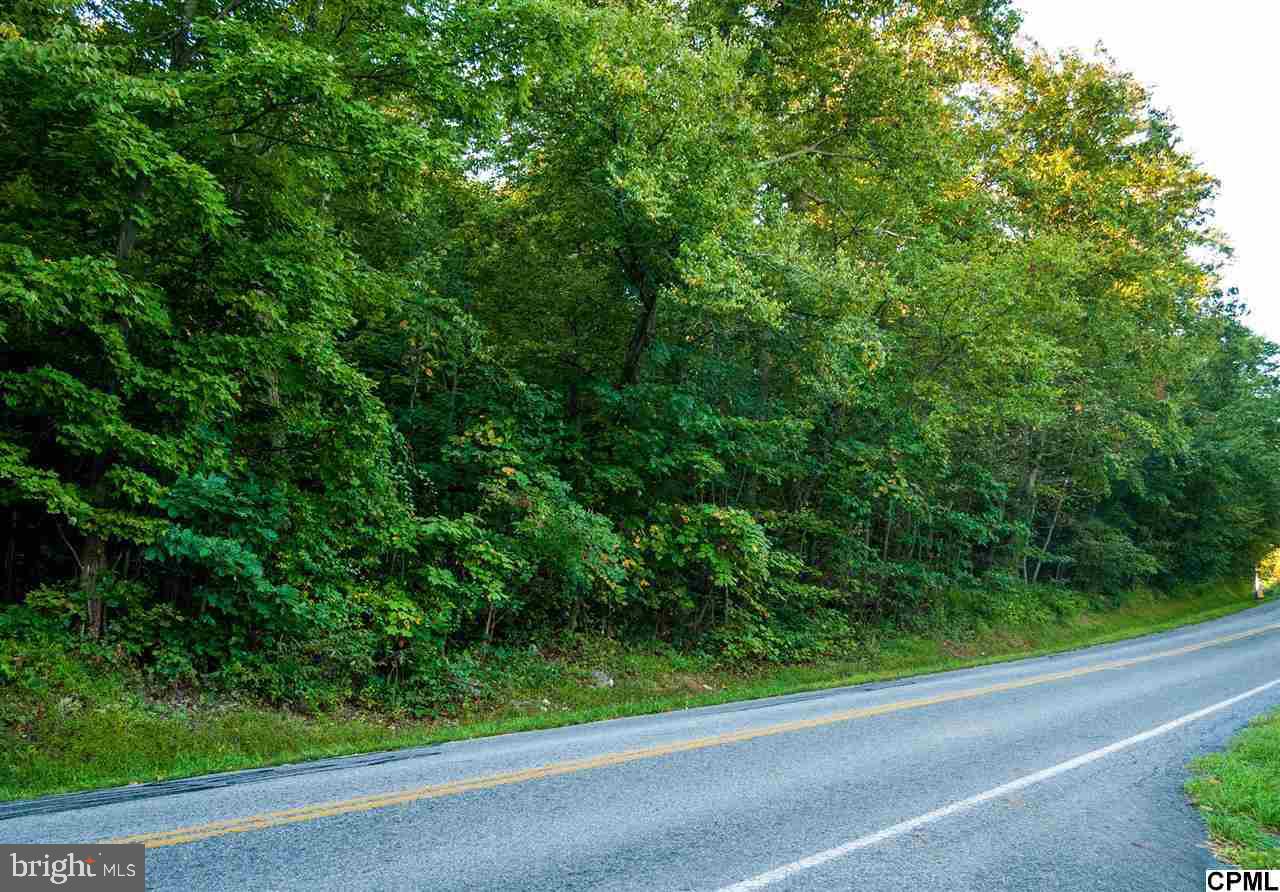 This beautiful wooded 15.69 acre lot is almost at the top of Blue Mountain. This lot will offer amazing views and privacy. You can bring your own builder for your dream home on this secluded lot. Low Taxes - Property is in Clean & Green. Minutes from Harrisburg or West Shore. A joy to show!