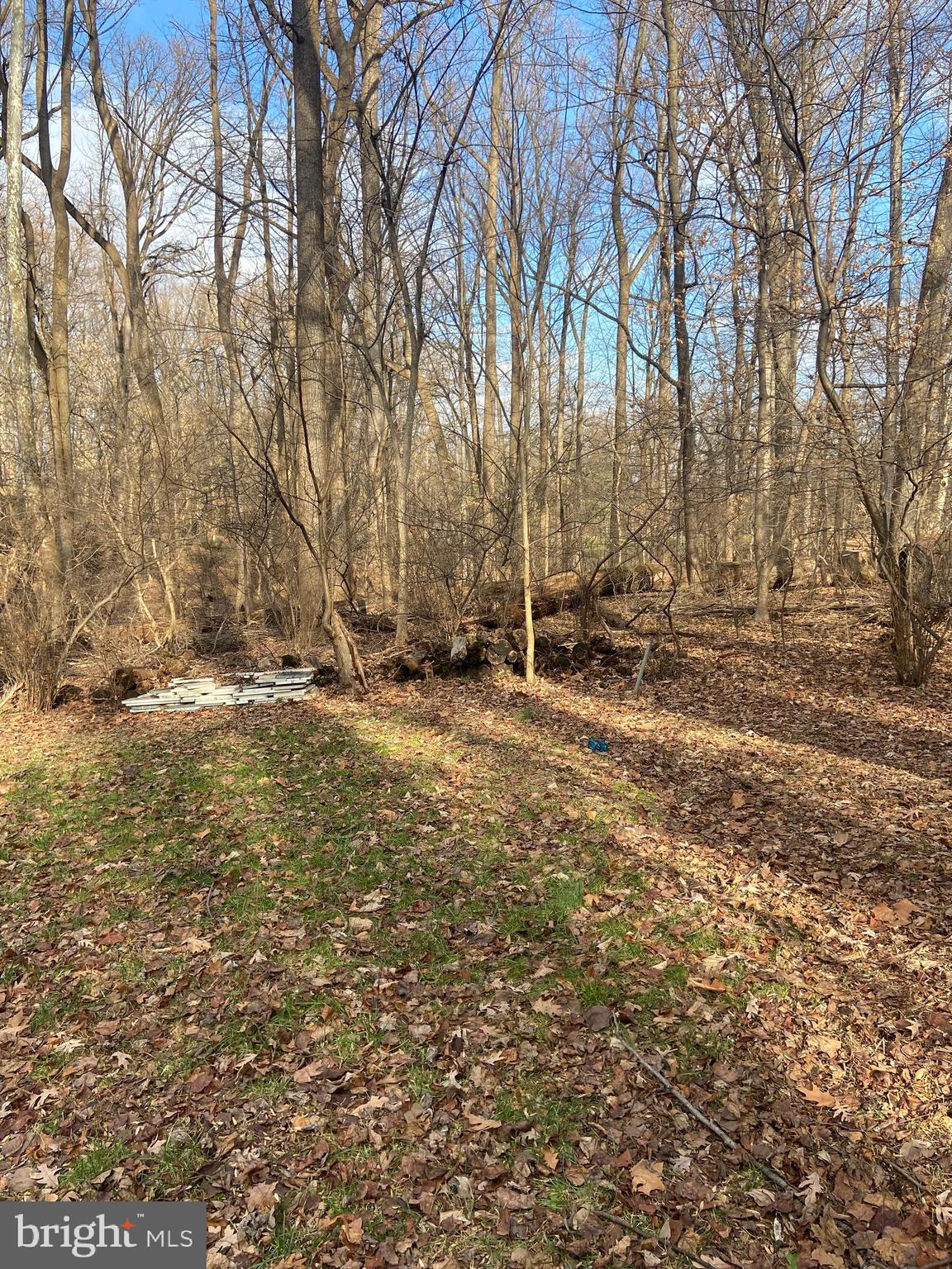 BETHESDA OUTSIDE - Residential