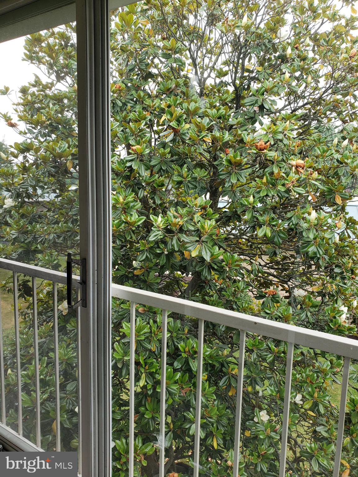 ROSSMOOR LEISURE WORLD - Residential