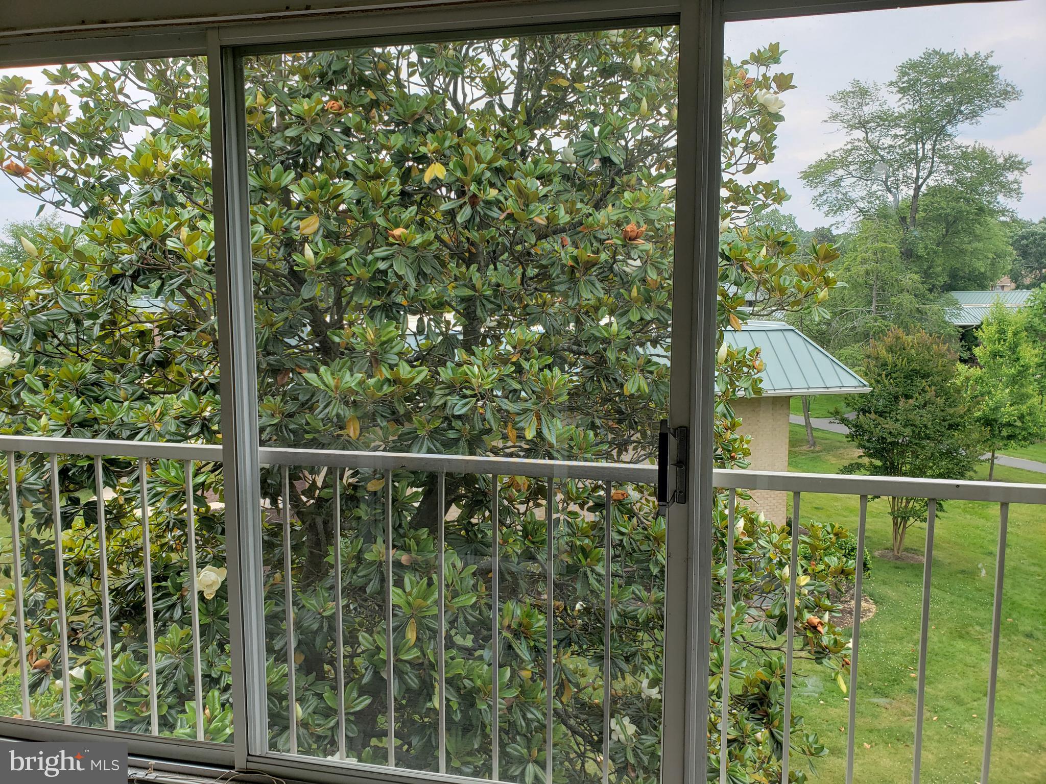 ROSSMOOR LEISURE WORLD - Residential