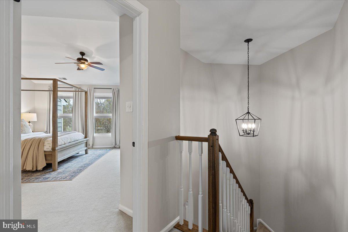 LOWES ISLAND/CASCADES - Residential