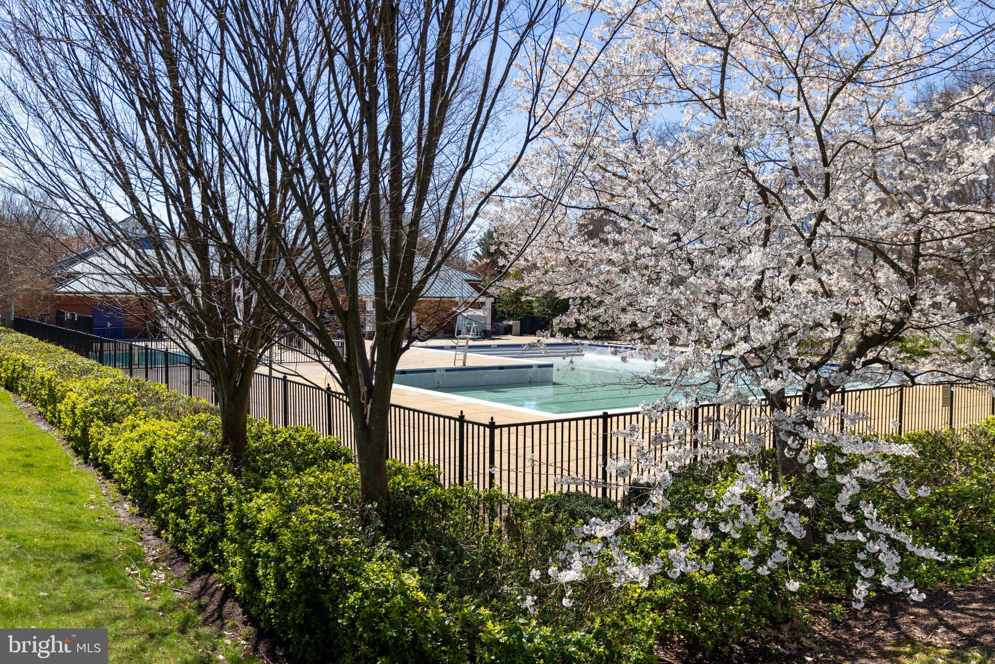 LOWES ISLAND/CASCADES - Residential