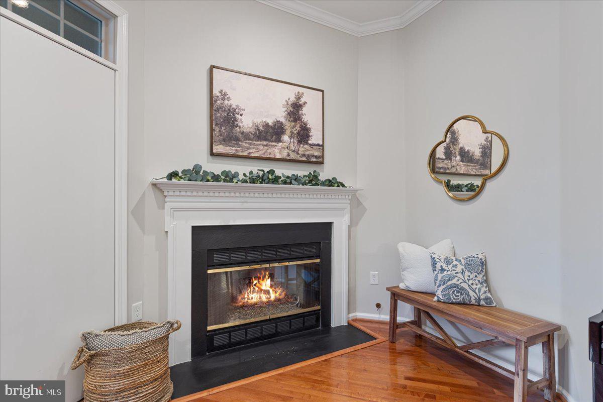 LOWES ISLAND/CASCADES - Residential