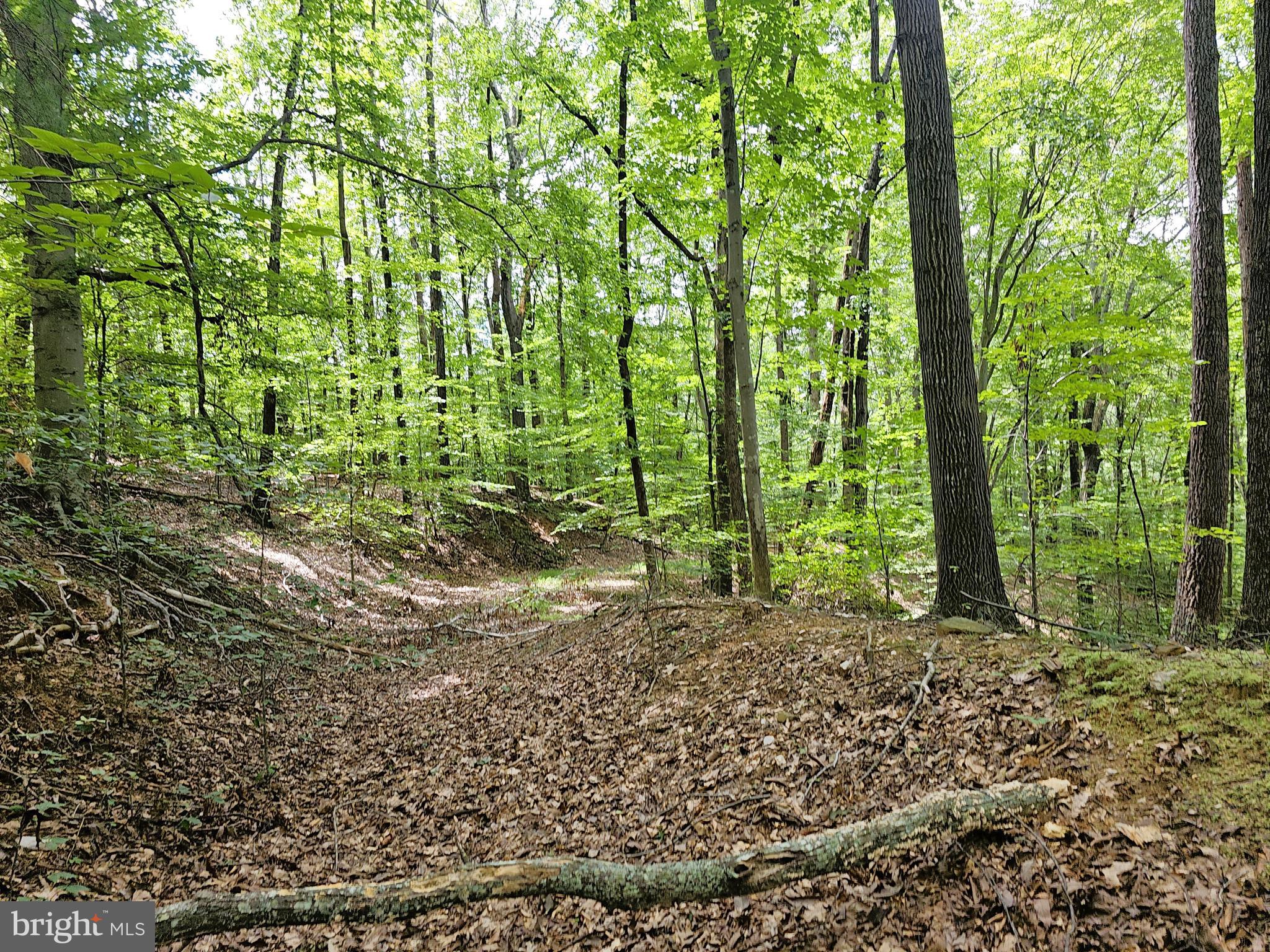 GAAR MOUNTAIN ROAD