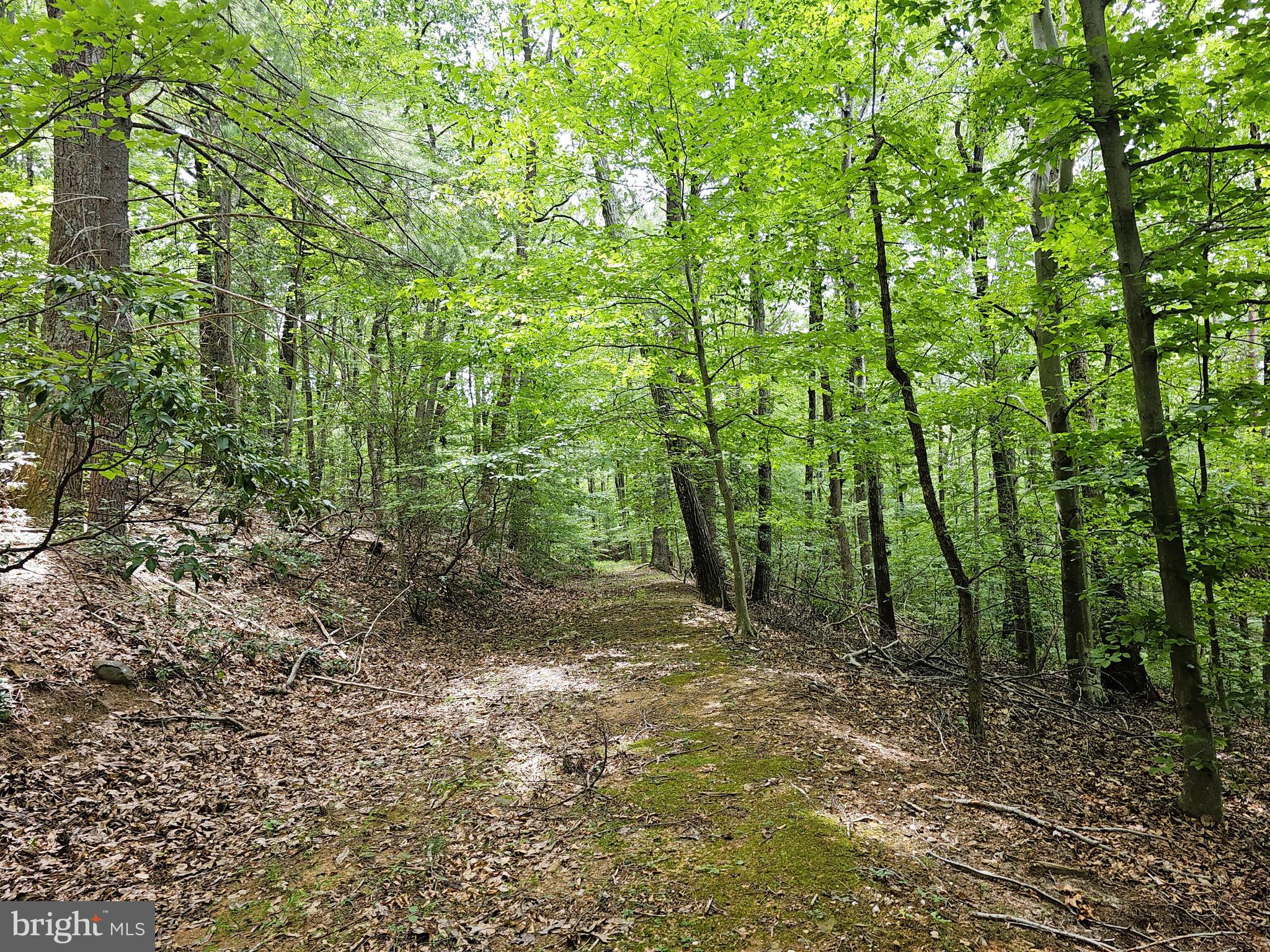GAAR MOUNTAIN ROAD