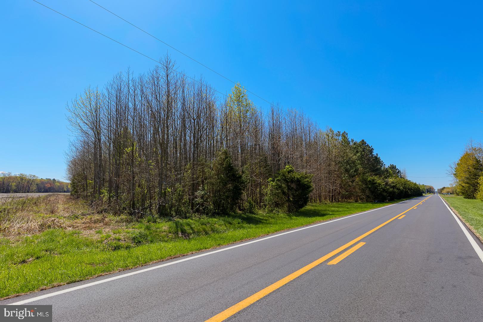 SE EAST TRAP POND ROAD