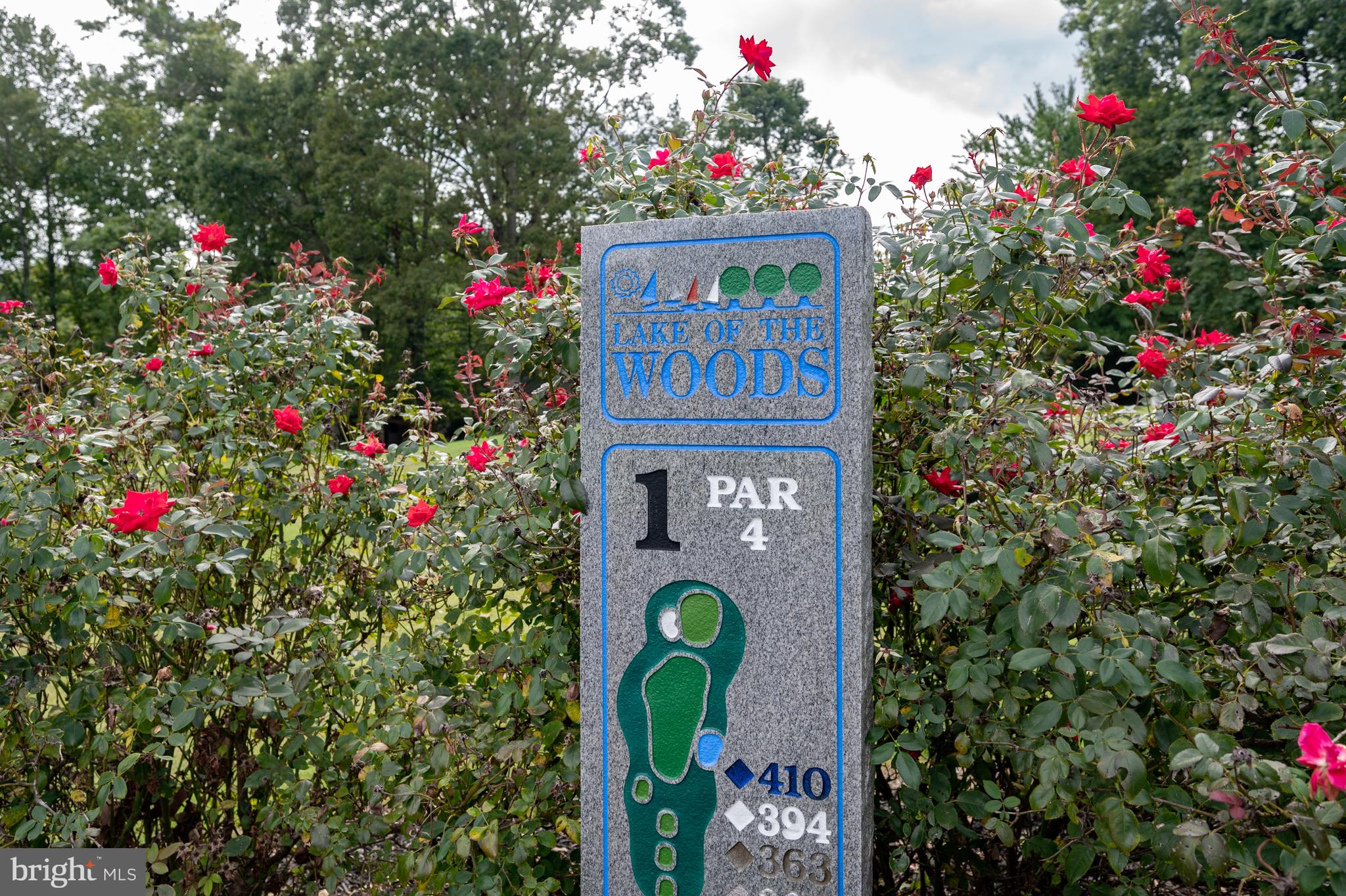 LAKE OF THE WOODS - Residential