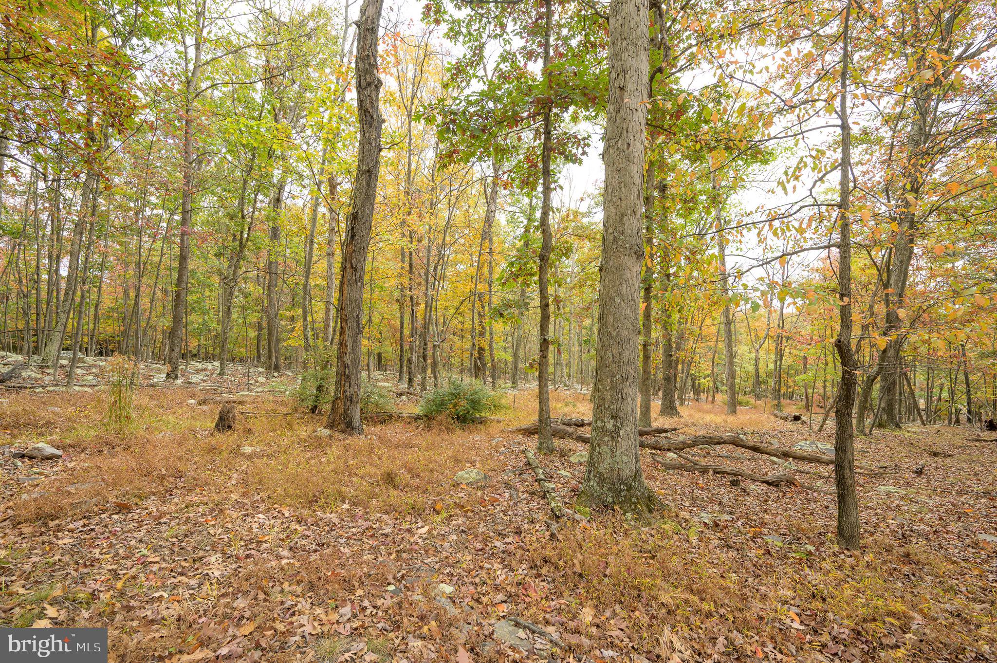 CACAPON EAST - Residential