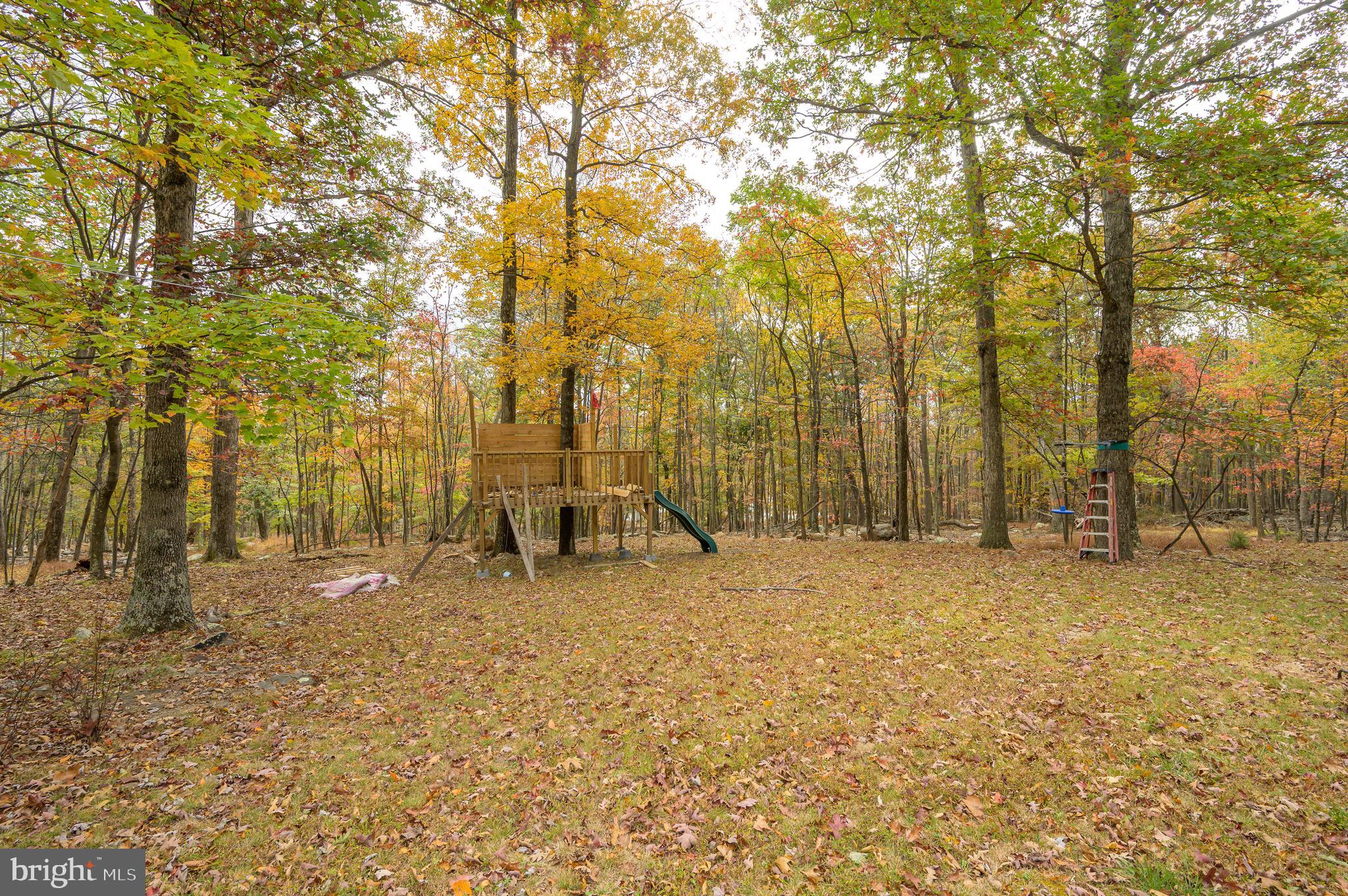 CACAPON EAST - Residential