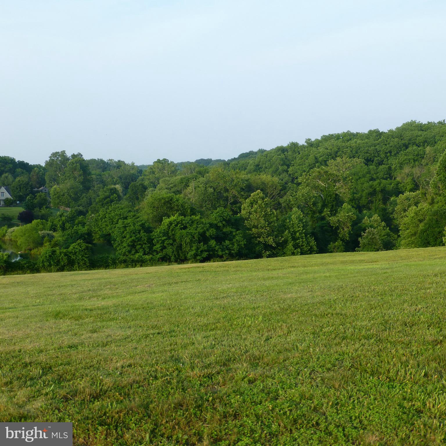 POTOMAC OUTSIDE - Land