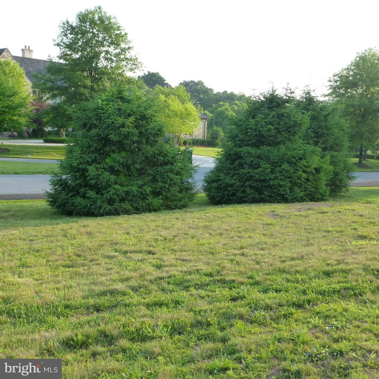 POTOMAC OUTSIDE - Land