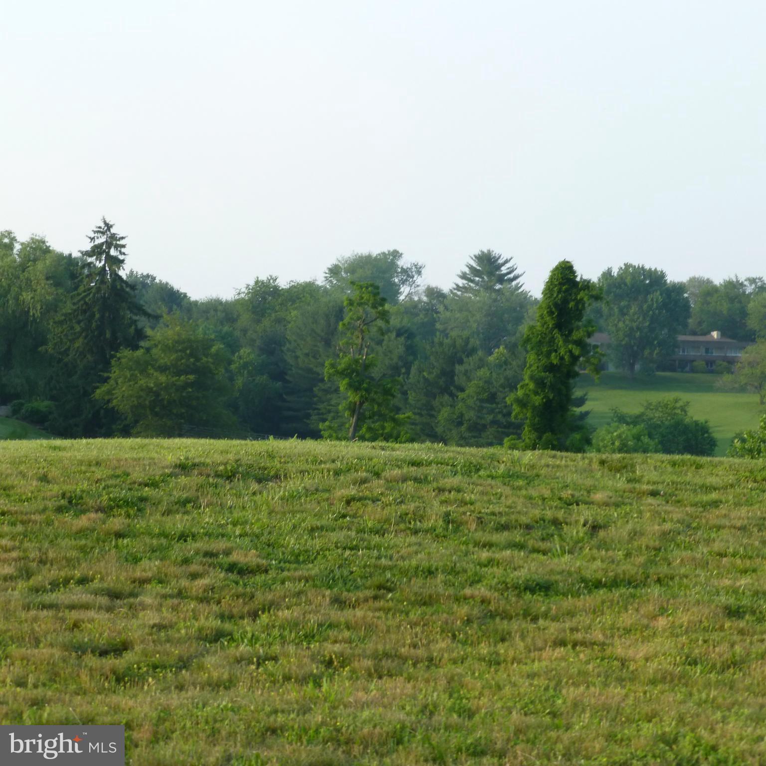 POTOMAC OUTSIDE - Land