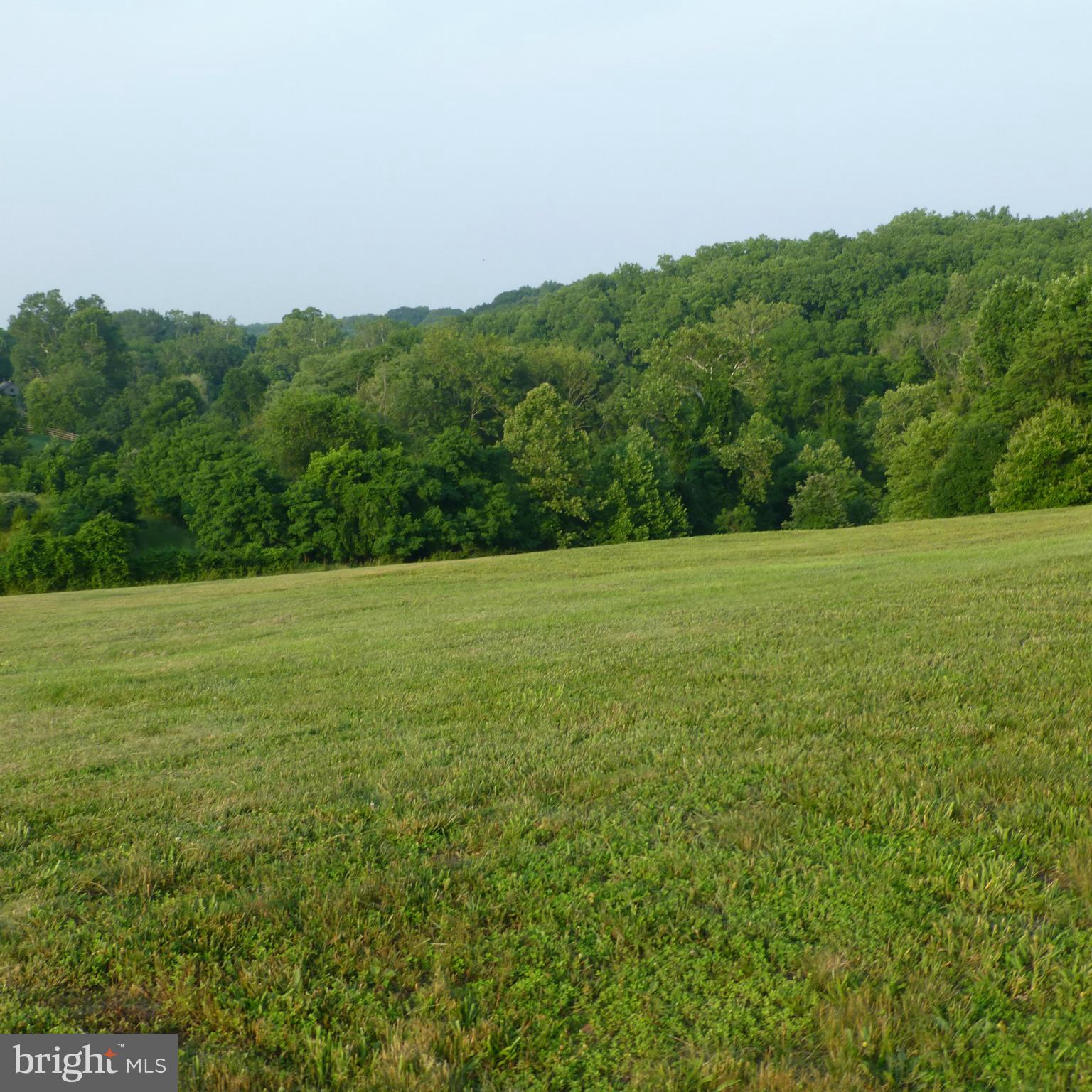 POTOMAC OUTSIDE - Land