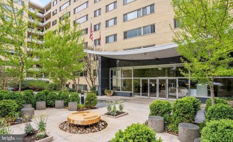 4600 CONNECTICUT AVENUE NW 306 WASHINGTON DC 20008