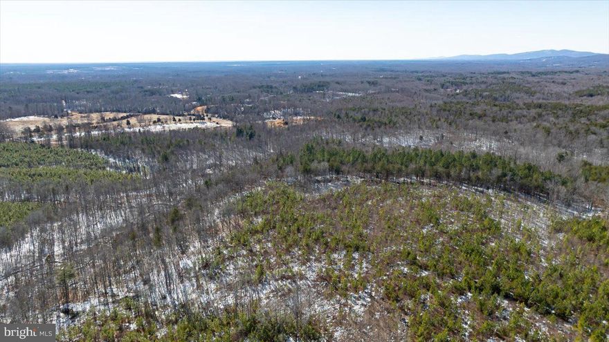 WOW! An outdoor enthusiast dream, 46.87 acres of wooded land that can be made into your own special refuge.   This property has endlesss potential and is conveniently located to the town of Orange and within an hours drive to Richmond and Northern VA.  Take a look and so you can see for yourself all the property has to offer.  Purchaser will need to obtain an easement to reach said property as property is currently landlocked.