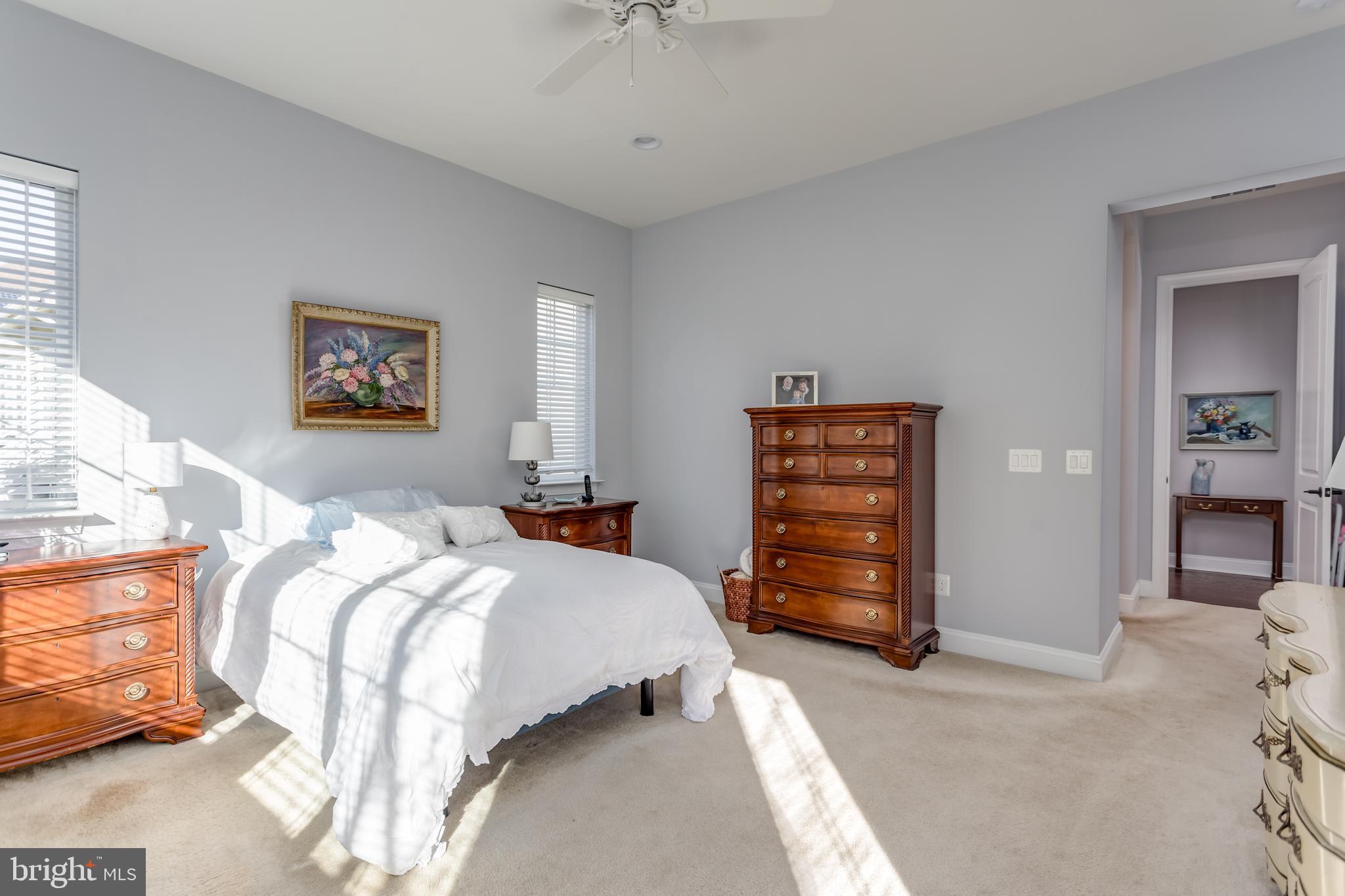 SHENANDOAH, LAKE FREDERICK - Residential