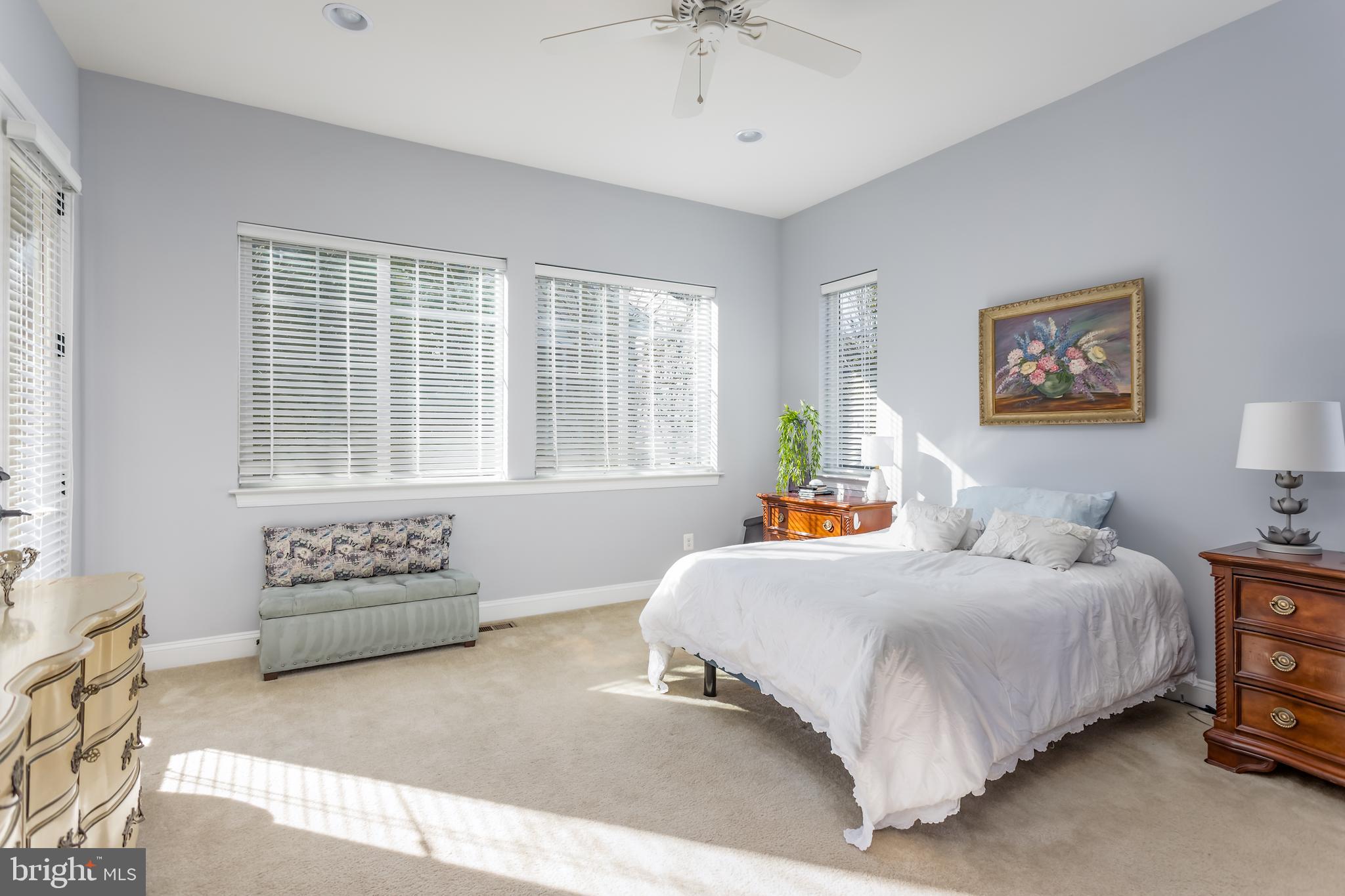 SHENANDOAH, LAKE FREDERICK - Residential