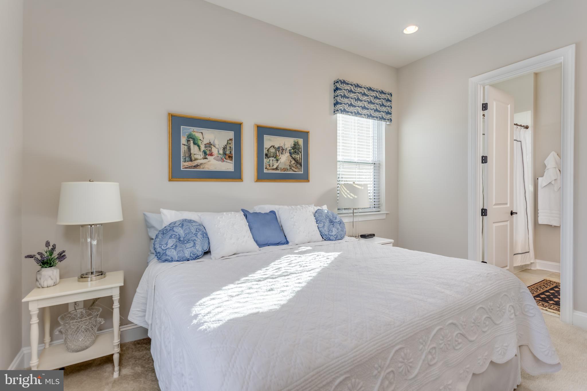 SHENANDOAH, LAKE FREDERICK - Residential