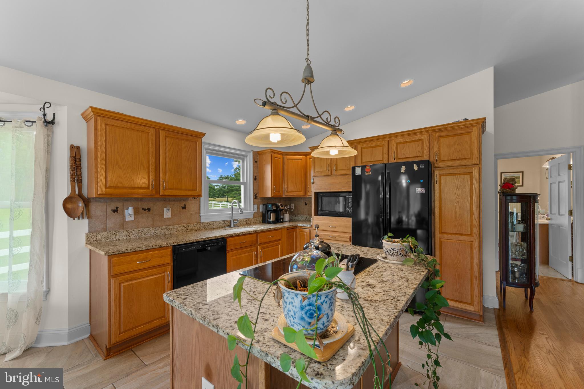 SNOW HILL - Residential