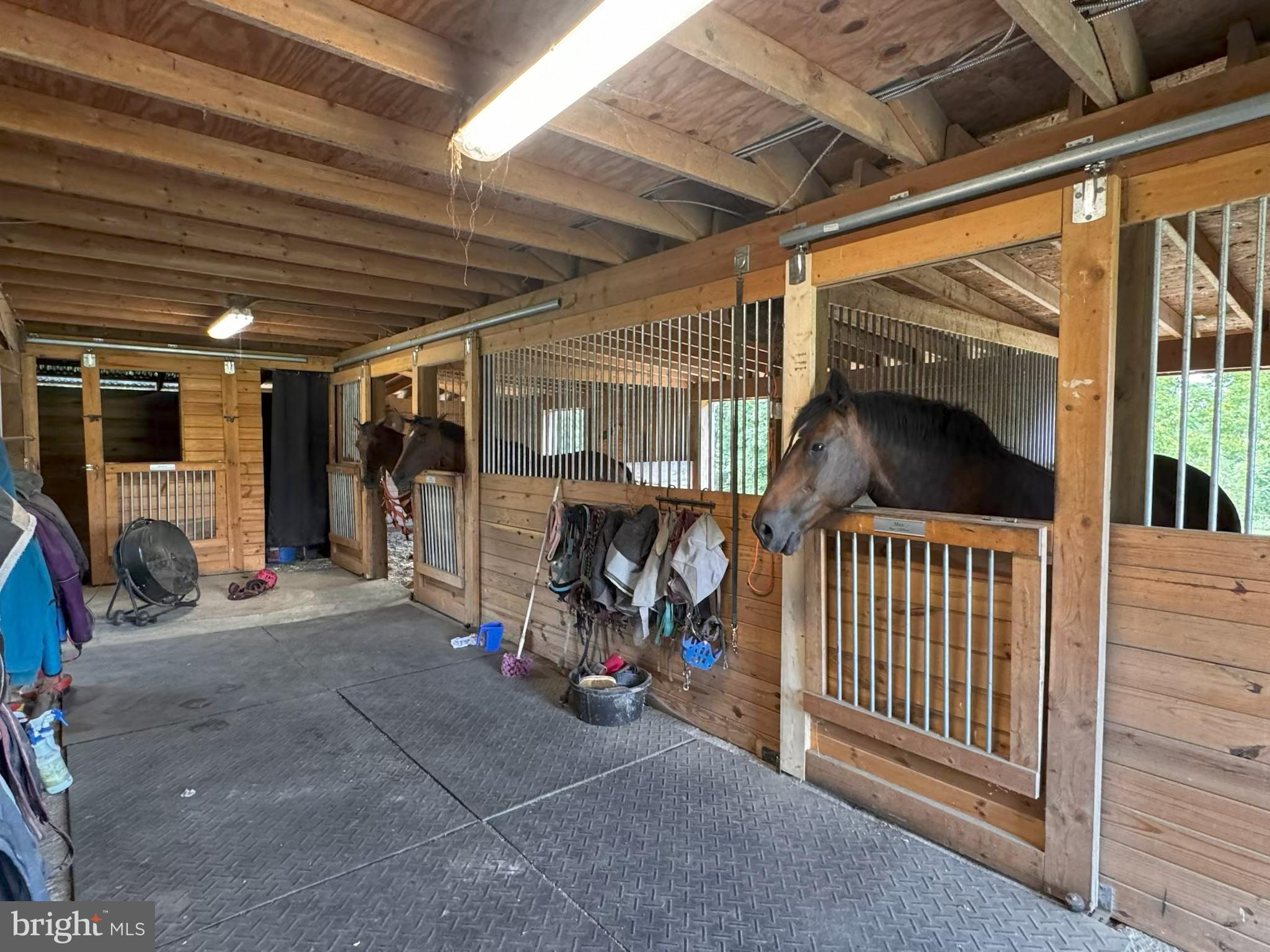 SNOW HILL - Residential