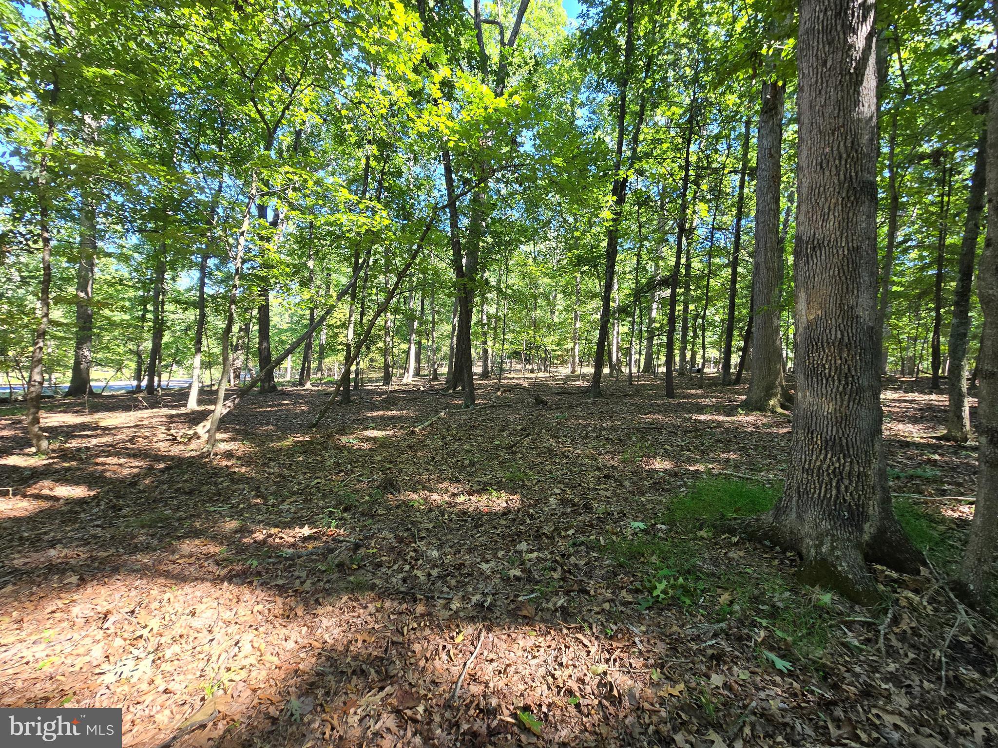 MISTY MEADOWS - Land